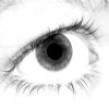 Auge.png