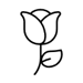 BlumeGB