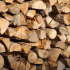 Holz