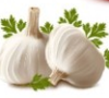 Knoblauch