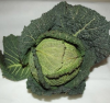 Kohl1