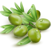 Olive.png