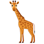ReimGiraffe.png