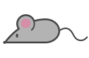 ReimMaus.png