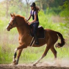 Reiten.png