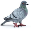 Satz777