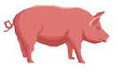 Schwein.png