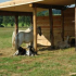 Stall