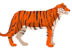 Tiger.png