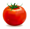 Tomate1